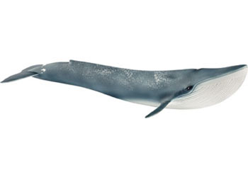 Schleich – Ocean Animals – 6 pieces