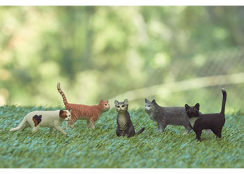 Schleich – Cats Set of 5