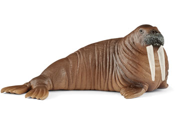 Schleich Arctic Animals – Set of 8