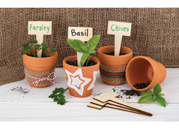 Terracotta Plant Pot – Pack of 10