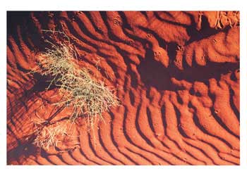 kinetic sand australian geographic