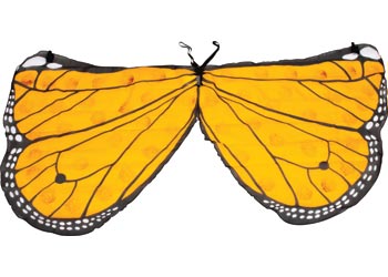 Butterfly Wings – Orange
