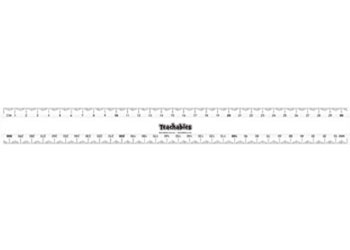 Teachables Plastic Rulers 30cm – Pack of 30