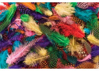 Assorted Guinea Fowl Feathers – 25g Pack - Kesco Catalogue