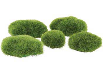 Grassy Stones –  Set of 5