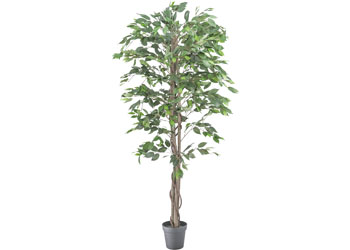 Ficus Artificial Plant – 180 cm