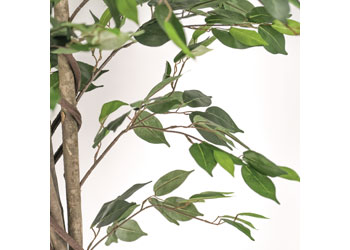 Ficus Artificial Plant – 180 cm
