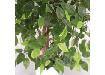 Ficus Artificial Plant – 90 cm