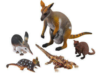 Deadly Science – Animal Adaptations Kit - Mta Catalogue