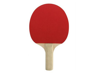 NYDA Pimpled Table Tennis Bat - MTA Catalogue