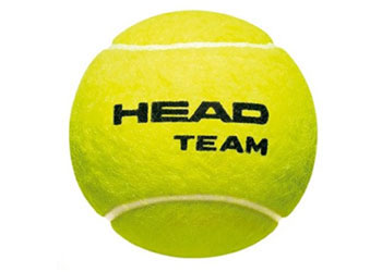 HEAD Team Coaching Tennis Ball