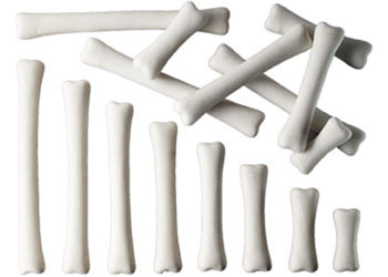 dinosaur bones match and measure set