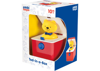 Ambi - Ted-in-a-Box 