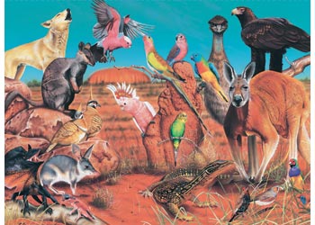 BOpal - Wild Aust The Outback 100pc