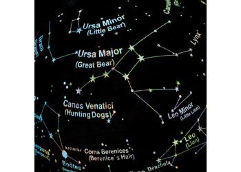  Brainstorm - 2 in 1 Globe Earth and Constellations 