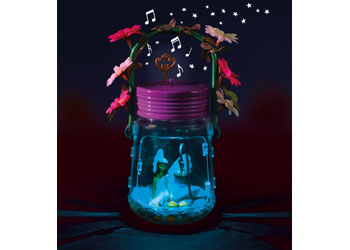  Brainstorm - My Very Own Fairy Jar 