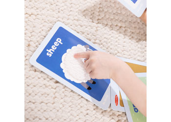 M&D - Ms. Rachel 1st Words Flashcards         