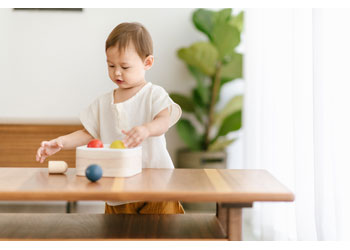 Plan Toys - PUNCH & DROP BIN                                                              