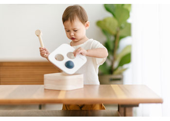 Plan Toys - PUNCH & DROP BIN                                                              