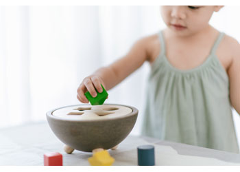 Plan Toys - SHAPE SORTING BOWL                                                            