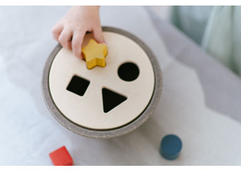 Plan Toys - SHAPE SORTING BOWL                                                            