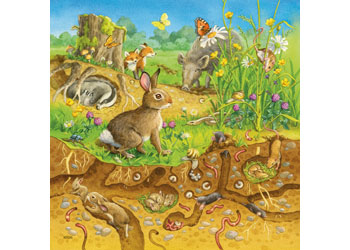 Ravensburger - Animals in their Habitats Puz 3x49pc
