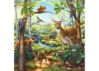Rburg - Forest Zoo & Pets Puzzle 3x49pc
