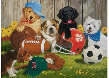 Rburg - Lets Play Ball Puzzle 200pc