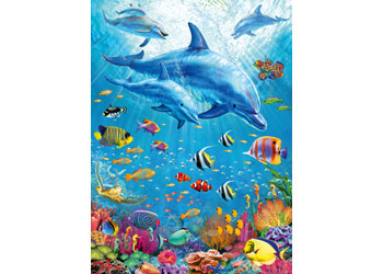 Rburg - Pod of Dolphins 100pc