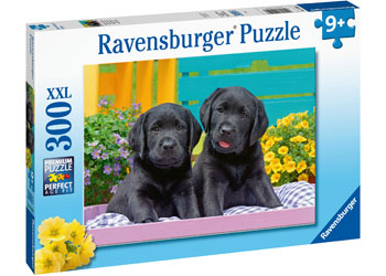 Rburg - Puppy Life Puzzle 300pc