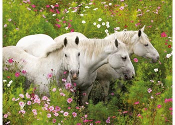 Ravensburger - Horses in a Field Puzzle 300pc