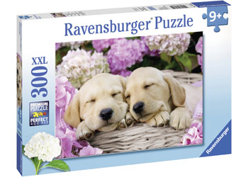Rburg - Sweet Dogs in A Basket Puzzle 300pc
