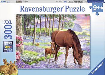 Rburg - Serene Sunset Puzzle 300pc
