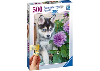 puzzles for huskies