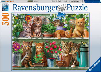 Rburg - Cats on the Shelf Puzzle 500pc