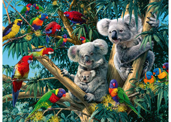Rburg - Koalas in A Tree Puzzle 500pc