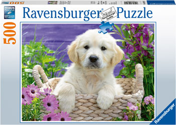 Ravensburger - Sweet Golden Retriever Puzzle 500pc