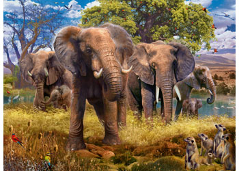 Rburg - Elephant Family 500pc