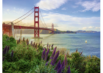 Ravensburger - Golden Gate Sunrise Puzzle 1000pc