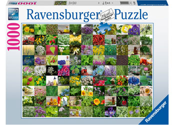 Rburg - 99 Herbs and Spices 1000pc