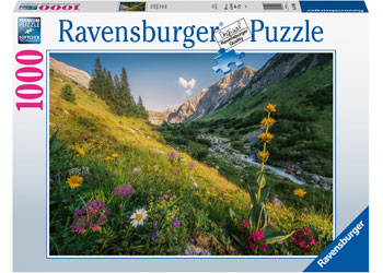 Rburg - Magical Valley 1000pc