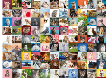 Ravensburger - 99 Cats Puzzle 1500pc