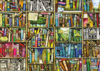Rburg - Magical Bookcase Puzzle 1000pc