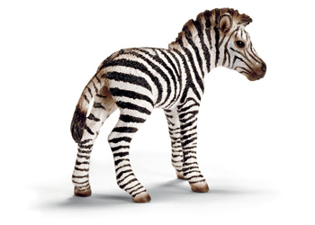 Schleich – Zebra foal