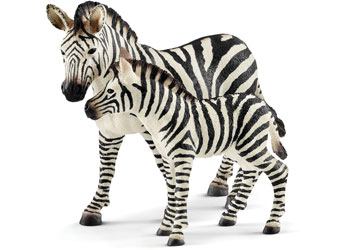 Schleich - Zebra Foal