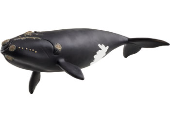 Schleich - North Atlantic Right Whale             