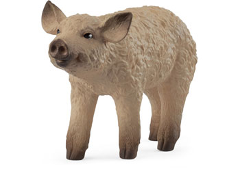 Schleich - Mangalica Piglet                       