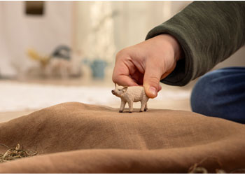 Schleich - Mangalica Piglet                       