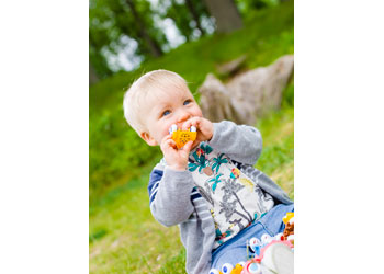 Viking Toys - Cute Cars Baby CDU45