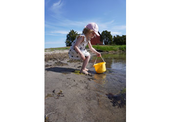 Viking Toys - Reline Big Bucket